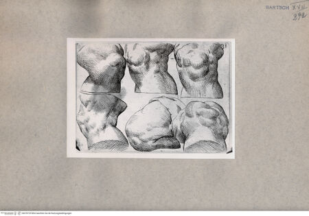 Vorderseite von  [http://creativecommons.org/publicdomain/mark/1.0/] Körperstudien - , bh078729. Foto.