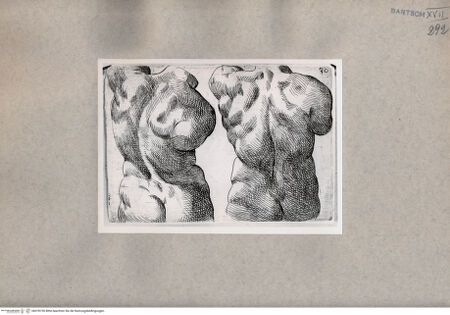 Vorderseite von  [http://creativecommons.org/publicdomain/mark/1.0/] Studien des männlichen Rückens - , bh078730. Foto.