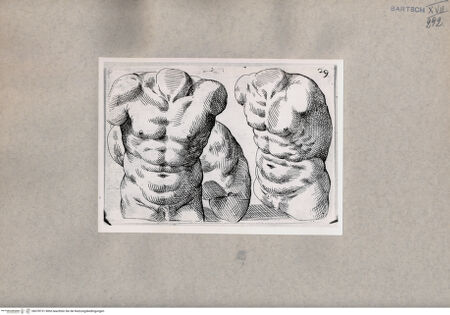 Vorderseite von  [http://creativecommons.org/publicdomain/mark/1.0/] Studien des männlichen Körpers - , bh078731. Foto.