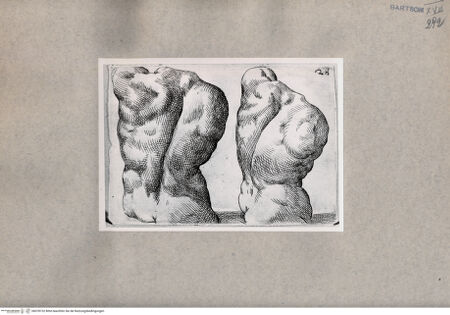 Vorderseite von  [http://creativecommons.org/publicdomain/mark/1.0/] Studien des männlichen Rückens - , bh078732. Foto.