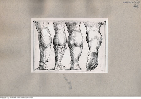 Vorderseite von  [http://creativecommons.org/publicdomain/mark/1.0/] Studien männlicher Beine - , bh078735. Foto.