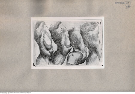 Vorderseite von  [http://creativecommons.org/publicdomain/mark/1.0/] Beinstudien - , bh078736. Foto.