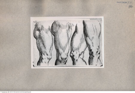 Vorderseite von  [http://creativecommons.org/publicdomain/mark/1.0/] Beinstudien - , bh078737. Foto.