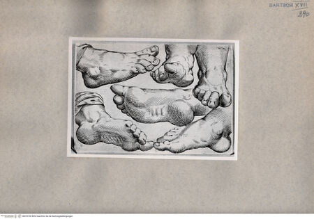 Vorderseite von  [http://creativecommons.org/publicdomain/mark/1.0/] Fußstudien - , bh078738. Foto.