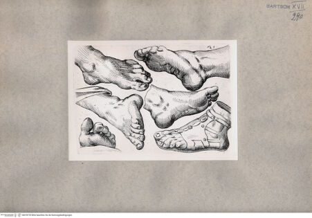 Vorderseite von  [http://creativecommons.org/publicdomain/mark/1.0/] Fußstudien - , bh078739. Foto.