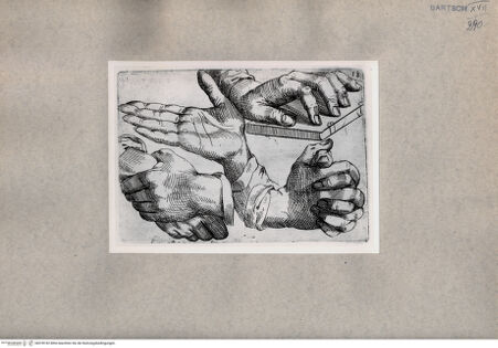 Vorderseite von  [http://creativecommons.org/publicdomain/mark/1.0/] Handstudien - , bh078742. Foto.