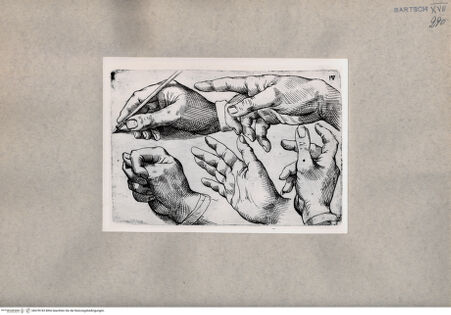 Vorderseite von  [http://creativecommons.org/publicdomain/mark/1.0/] Handstudien - , bh078743. Foto.