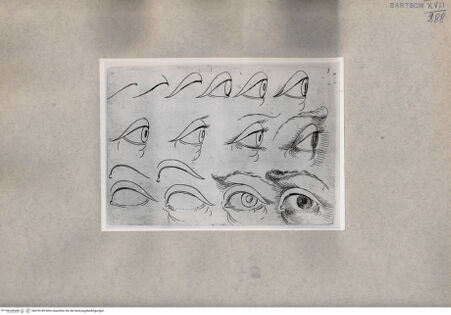 Vorderseite von  [http://creativecommons.org/publicdomain/mark/1.0/] Augenstudien - , bh078749. Foto.