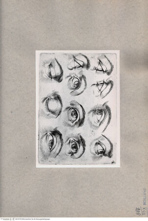 Vorderseite von  [http://creativecommons.org/publicdomain/mark/1.0/] Augenstudien - , bh078750. Foto.