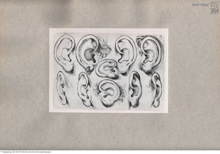 Vorderseite von  [http://creativecommons.org/publicdomain/mark/1.0/] Ohrstudien - , bh078751. Foto.