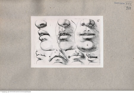 Vorderseite von  [http://creativecommons.org/publicdomain/mark/1.0/] Gesichtsstudien - , bh078754. Foto.