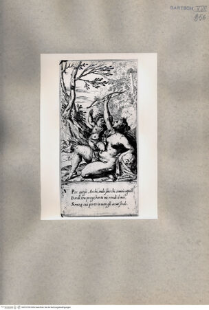 Vorderseite von  [http://creativecommons.org/publicdomain/mark/1.0/] Venus und Amor - , bh078785. Foto.