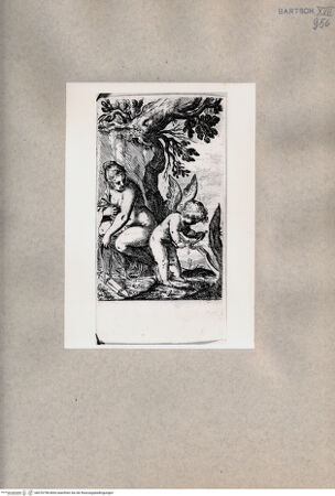 Vorderseite von  [http://creativecommons.org/publicdomain/mark/1.0/] Venus - , bh078798. Foto.