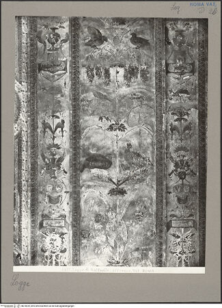 Vorderseite von bh078939_recto