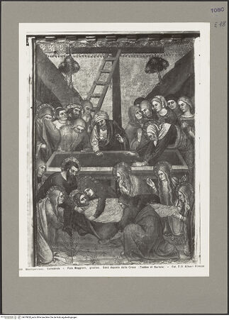 Vorderseite von bh079828_recto