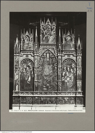 Vorderseite von bh079838_recto