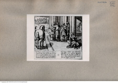 Vorderseite von  [http://creativecommons.org/publicdomain/mark/1.0/] Sieben Kinder der Lara - , bh080006. Foto.