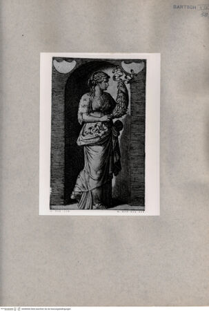 Vorderseite von  [http://creativecommons.org/publicdomain/mark/1.0/] Muse - , bh080060. Foto.