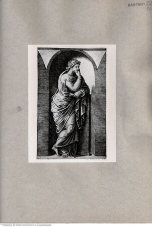 Vorderseite von  [http://creativecommons.org/publicdomain/mark/1.0/] Muse - , bh080066. Foto.