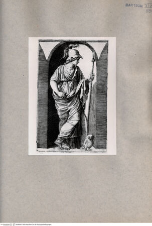 Vorderseite von  [http://creativecommons.org/publicdomain/mark/1.0/] Minerva - , bh080067. Foto.