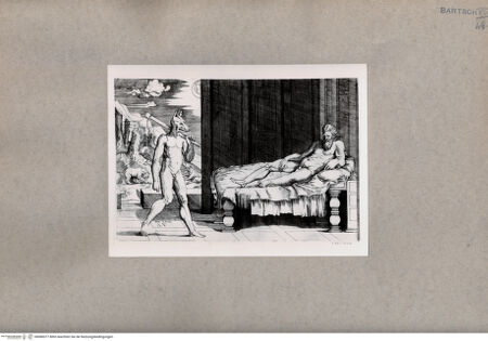 Vorderseite von  [http://creativecommons.org/publicdomain/mark/1.0/] Lykaon - , bh080077. Foto.