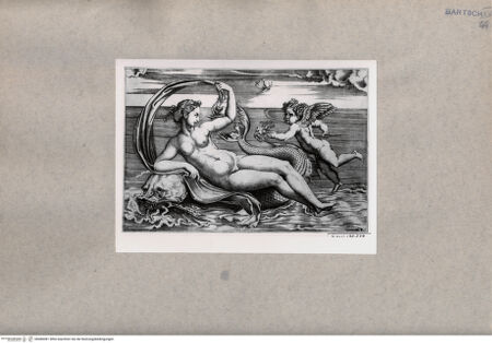 Vorderseite von  [http://creativecommons.org/publicdomain/mark/1.0/] Venus - , bh080081. Foto.