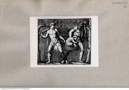 Vorderseite von  [http://creativecommons.org/publicdomain/mark/1.0/] Faune - , bh080085. Foto.