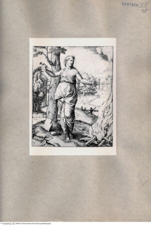 Vorderseite von  [http://creativecommons.org/publicdomain/mark/1.0/] Dido - , bh080101. Foto.