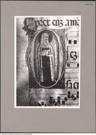 Vorderseite von bh080308_recto