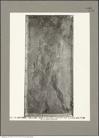 Vorderseite von bh080656_recto