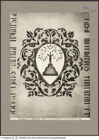 Vorderseite von bh080665_recto