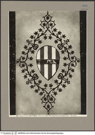 Vorderseite von bh080666_recto