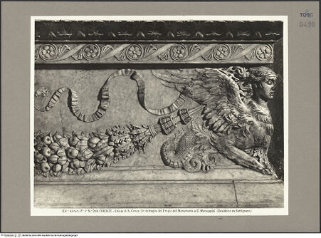 Vorderseite von bh080794_recto