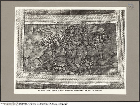 Vorderseite von bh081156_recto