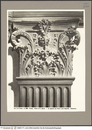 Vorderseite von bh081171_recto