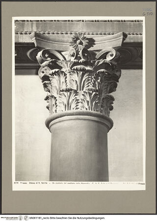 Vorderseite von bh081181_recto