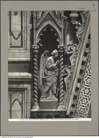 Vorderseite von bh081264_recto