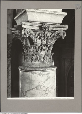 Vorderseite von bh081272_recto