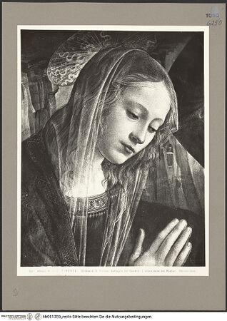 Vorderseite von bh081359_recto