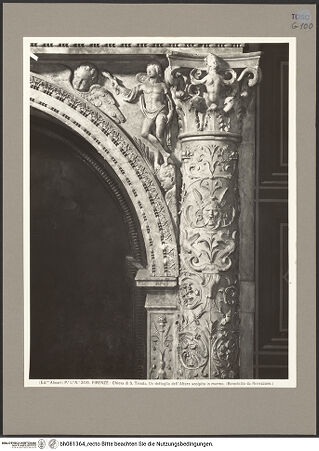 Vorderseite von bh081364_recto