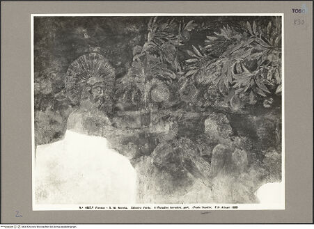 Vorderseite von bh081526_recto