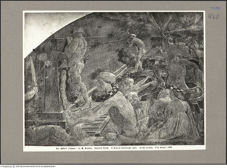 Vorderseite von bh081528_recto