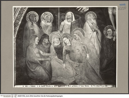 Vorderseite von bh081556_recto