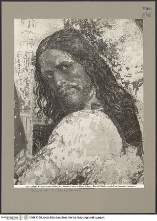 Vorderseite von bh081598_recto