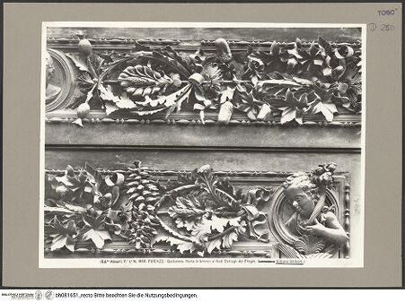 Vorderseite von bh081651_recto