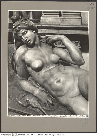 Vorderseite von bh081666_recto