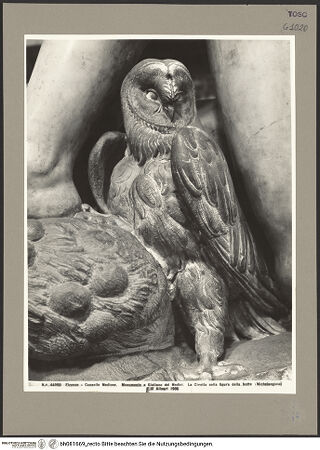 Vorderseite von bh081669_recto