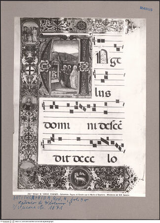 Vorderseite von bh081737_recto