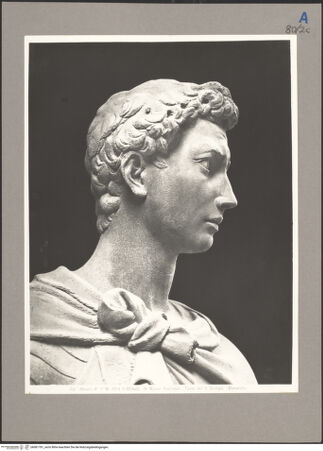 Vorderseite von bh081781_recto