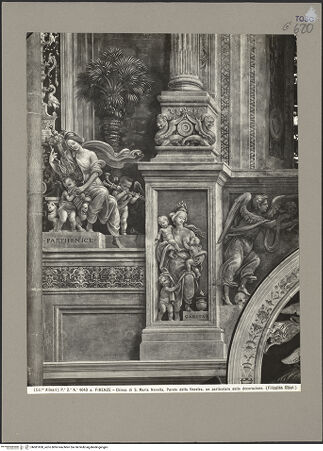 Vorderseite von bh081850_recto